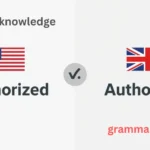 Authorized or Authorised