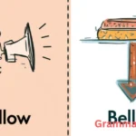 Bellow or Below