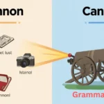 Canon or Cannon