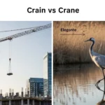 Crain or Crane