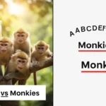 Monkeys or Monkies
