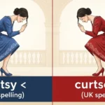 Curtsy or Curtsey
