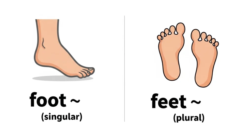 Feet or Foot