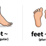 Feet or Foot