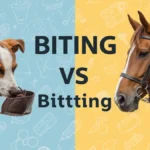 Biting or Bitting