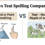 Tip or Teat