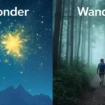Wonder or Wander